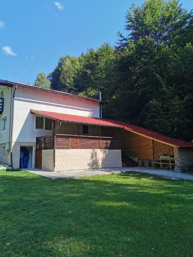 Villa Di &D House #Rai à Banita Extérieur photo